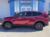 1 thumbnail image of  2021 Honda CR-V EX-L