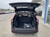 6 thumbnail image of  2026 Honda CR-V EX