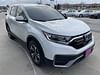 4 thumbnail image of  2022 Honda CR-V Special Edition