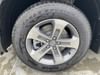 4 thumbnail image of  2025 Honda Pilot EX-L
