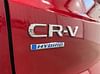 5 thumbnail image of  2025 Honda CR-V Hybrid Sport-L