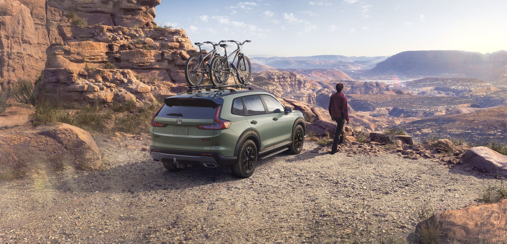 Homepage background image