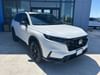 3 thumbnail image of  2026 Honda CR-V Hybrid Sport-L