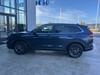8 thumbnail image of  2026 Honda CR-V EX-L