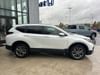 4 thumbnail image of  2022 Honda CR-V EX-L