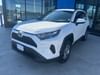 1 thumbnail image of  2023 Toyota RAV4 Hybrid LE
