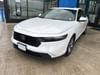 1 placeholder image of  2024 Honda Accord EX