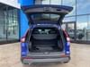 13 thumbnail image of  2024 Honda CR-V Hybrid Sport-L