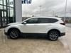 8 thumbnail image of  2022 Honda CR-V EX-L