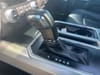 37 thumbnail image of  2019 Ford F-150 Lariat