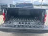 30 thumbnail image of  2019 Ford F-150 XL