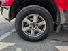 29 thumbnail image of  2019 Ford F-150 XLT
