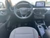 19 thumbnail image of  2020 Ford Escape SE