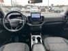 19 thumbnail image of  2022 Ford Bronco Sport Big Bend