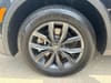 36 thumbnail image of  2023 Volkswagen Tiguan 2.0T SE