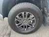 30 thumbnail image of  2024 Toyota Tundra SR5