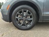 29 thumbnail image of  2024 Volkswagen Tiguan 2.0T SE