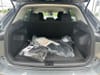 20 thumbnail image of  2026 Volkswagen Tiguan 2.0T S