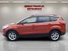 10 thumbnail image of  2019 Ford Escape SEL