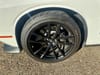 32 thumbnail image of  2023 Dodge Challenger R/T Scat Pack