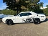 10 thumbnail image of  2023 Dodge Challenger R/T Scat Pack