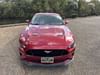 15 thumbnail image of  2020 Ford Mustang GT Premium