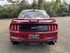 6 thumbnail image of  2020 Ford Mustang GT Premium