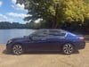 10 thumbnail image of  2017 Honda Accord Sedan EX