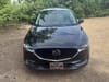 14 thumbnail image of  2019 Mazda CX-5 Grand Touring