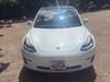 14 thumbnail image of  2019 Tesla Model 3 Mid Range