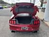 26 thumbnail image of  2020 Ford Mustang GT Premium