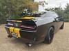 4 thumbnail image of  2020 Dodge Challenger R/T Scat Pack