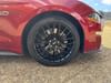 19 thumbnail image of  2020 Ford Mustang GT Premium