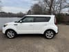 10 thumbnail image of  2016 Kia Soul +