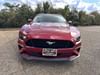 14 thumbnail image of  2020 Ford Mustang GT Premium