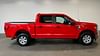 2 thumbnail image of  2023 Ford F-150 XLT