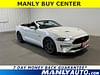 1 thumbnail image of  2019 Ford Mustang GT Premium