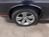 23 thumbnail image of  2021 Dodge Challenger SXT
