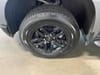 30 thumbnail image of  2022 Chevrolet Silverado 1500 LTD LT Trail Boss