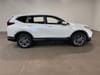 2 thumbnail image of  2022 Honda CR-V EX-L