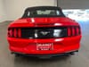 4 thumbnail image of  2023 Ford Mustang EcoBoost Premium