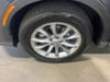 30 thumbnail image of  2023 Honda CR-V EX-L