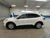 6 thumbnail image of  2024 Ford Escape Active