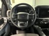 21 thumbnail image of  2024 Ford F-150 XLT