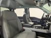 10 thumbnail image of  2024 Ford F-150 XLT