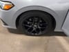 30 thumbnail image of  2024 Honda Civic Sport