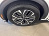 30 thumbnail image of  2024 Kia EV6 Light