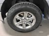 26 thumbnail image of  2025 Ford F-150 XLT