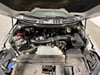 26 thumbnail image of  2025 Ford F-150 XLT