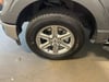 31 thumbnail image of  2025 Ford F-150 XLT